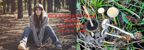 стафф Сафоново