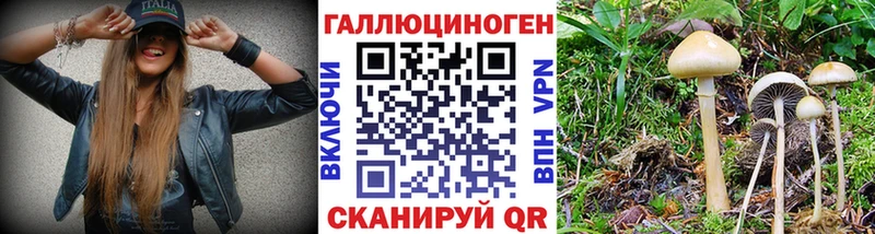Галлюциногенные грибы Psilocybine cubensis Темников
